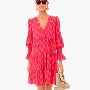 Pomander Place Hot Pink Ikat dress